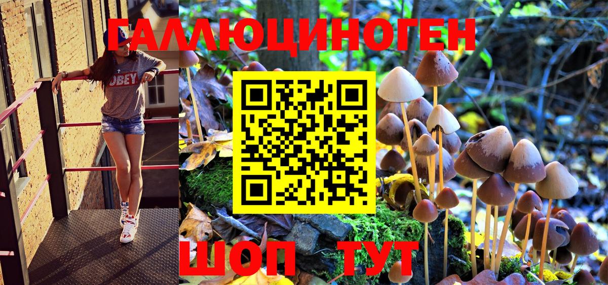 Галлюциногенные грибы Magic Shrooms  Вход с VPN  Обнинск 